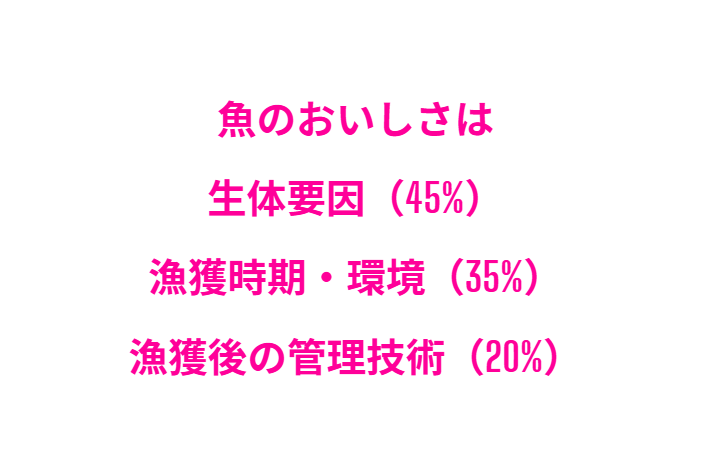 美味しさは「履歴」と「技術」の総和。同じ種類の魚でも味が違うのは、**「魚の生体要因(45%)」と「漁獲時期・環境(35%)」という生まれ持ったポテンシャルに、「漁獲後の管理技術(20%)」**という人為的な要因が加わるためです。釣太郎