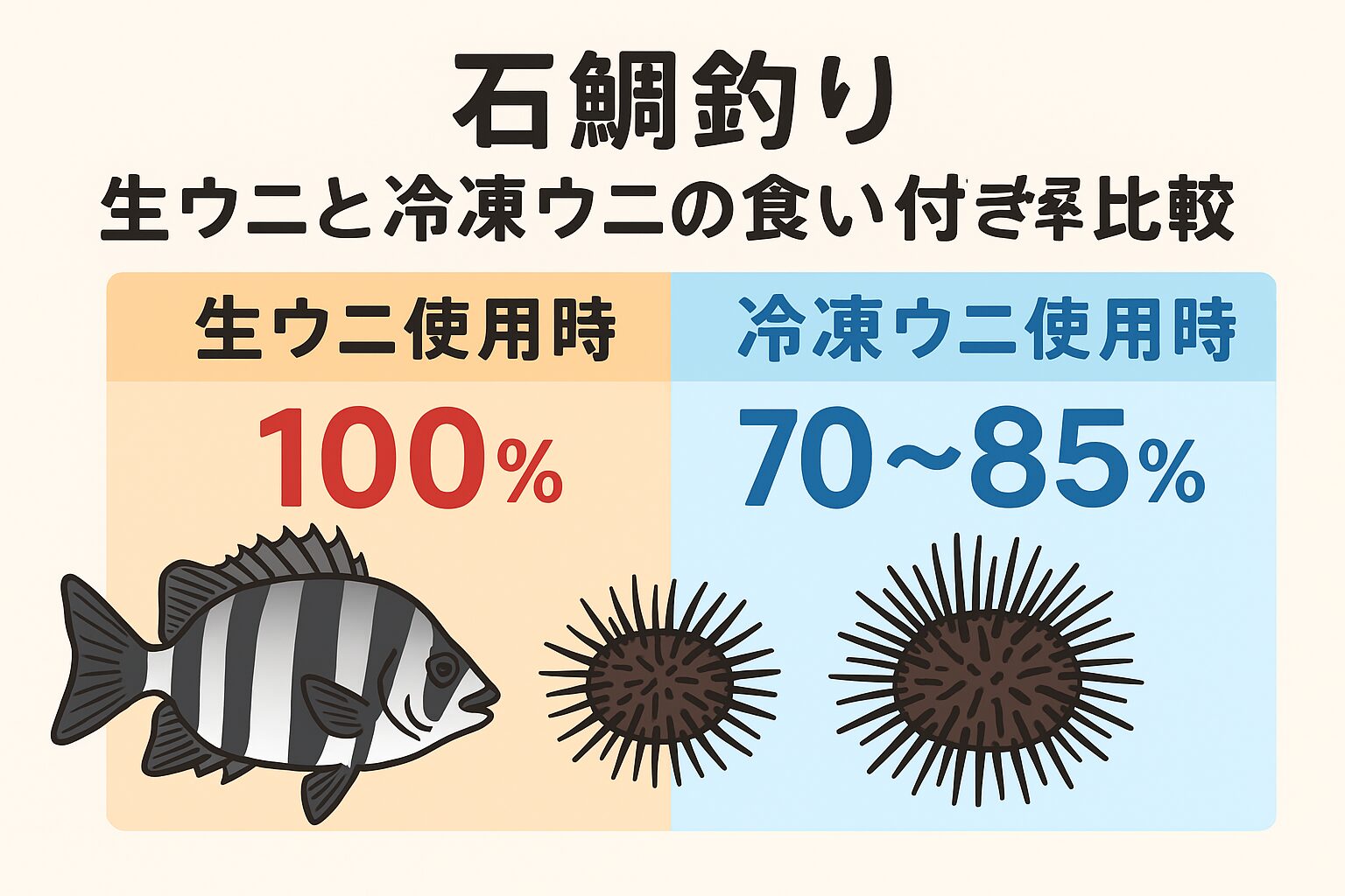 石鯛釣りにおいて、最も確実なのはやはり生ウニ。しかし、冷凍ウニでも使い方を工夫すれば、
7割以上の食い付き率を確保できる。釣太郎