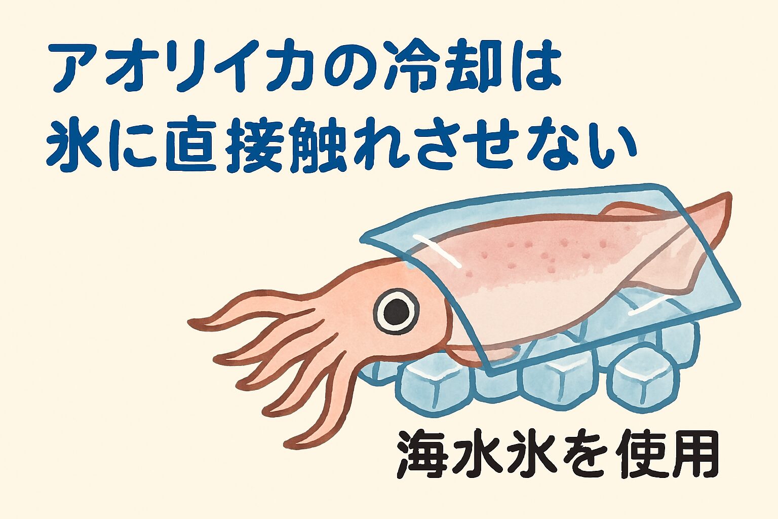 海水氷冷却のアオリイカは、POPで「透明感・甘み・鮮度保持」を訴求。釣太郎