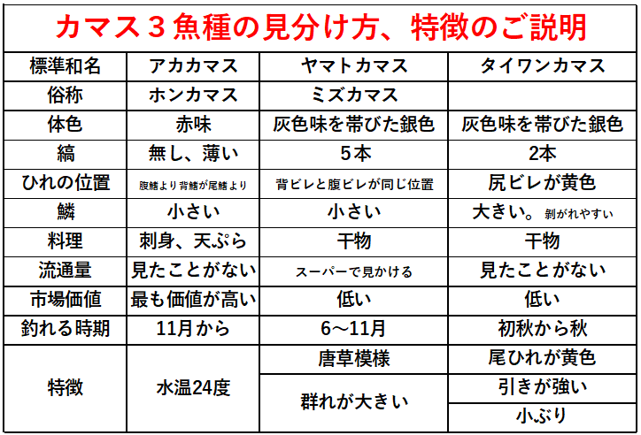 南紀で釣れるカマス3種類。見分け方説明ヤマトカマス・アカカマス・タイワンカマス。釣太郎