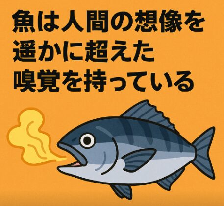 魚の嗅覚は人間の数千倍、種類によっては 1兆分の1の濃度 を感知できる驚異的な能力です。釣太郎