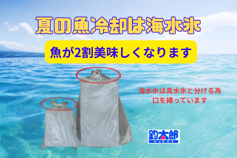 氷を真水から海水氷に変えるだけで、魚の美味しさは約2割アップします。釣太郎