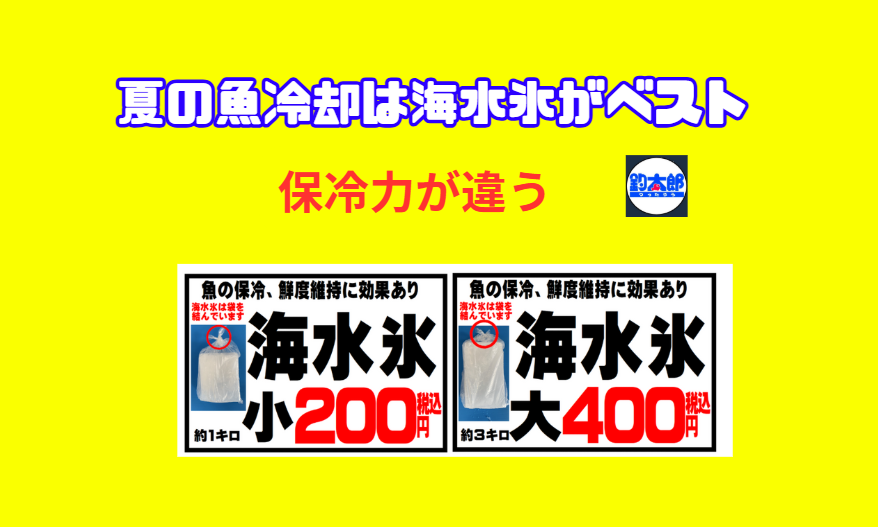夏場の魚は真水氷だと食中毒リスクが高まる可能性がある。 ・海水氷を使うことで、AIシミュレーション上は食中毒リスクを約50〜60％減少できる結果となった。釣太郎