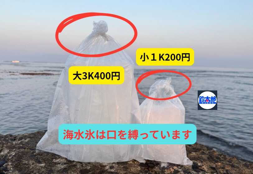 海水氷が爆発的な人気を誇る理由は「冷却力」と「旨味保持力」。釣太郎