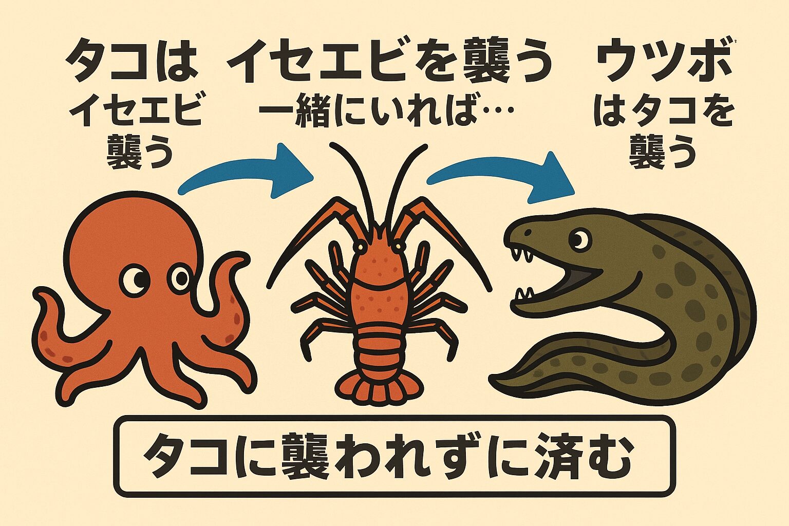 タコツボ漁は、タコの習性を知り尽くした漁師の知恵が詰まった、シンプルかつ持続可能な漁法。釣太郎