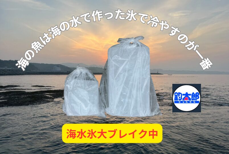 海水氷は「美味しさを２割アップさせるミラクルアイス」真水氷では浸透圧の影響で旨味が逃げる。釣太郎