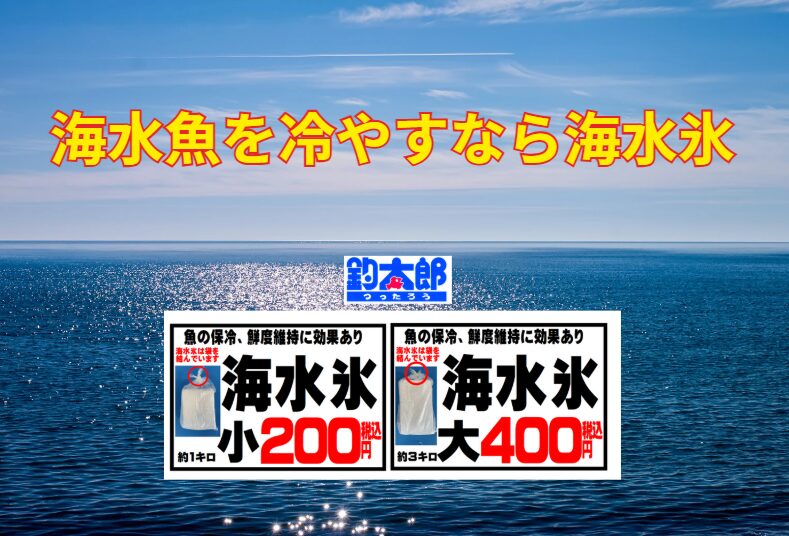 海水氷は魚の細胞を守り、プリッとした食感を保つ。冷却スピードが速く、鮮度維持に最適。ベテラン釣り師はすでに常識として利用している。釣太郎