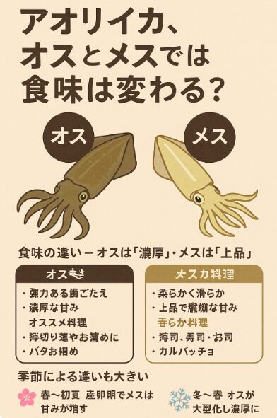 アオリイカは オス＝力強い旨味と歯ごたえ、メス＝柔らかく上品な甘み という違いがあります。釣太郎