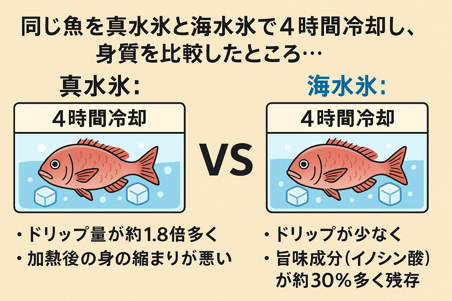 真水氷は浸透圧の差で細胞を壊し、旨味を失わせる。海水氷は魚の身質を守り、イノシン酸を約30％多く保持できる 釣行後は必ず海水氷を使い、素早く冷やすことで最高の味を楽しめる。釣太郎