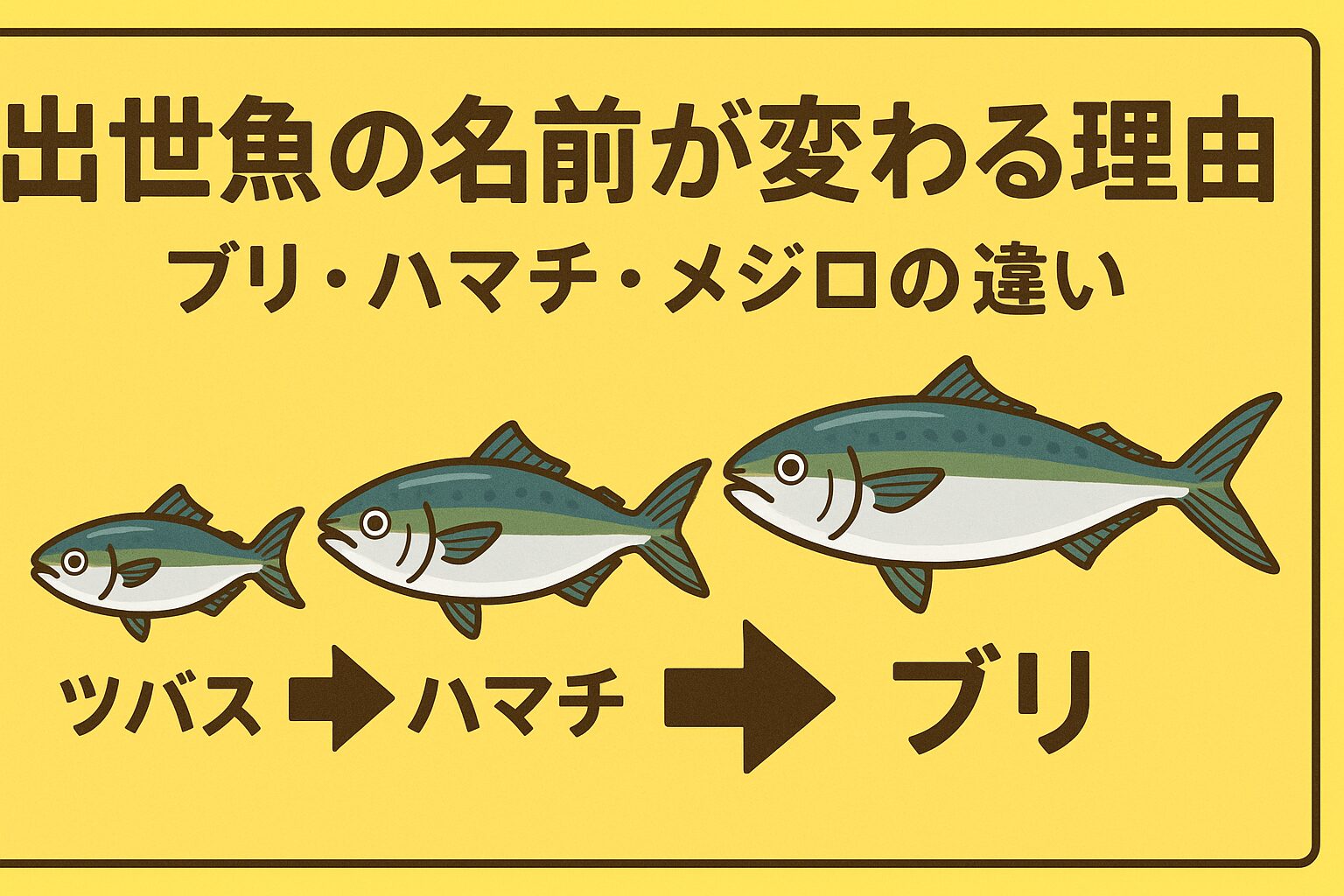 ブリは日本を代表する出世魚で、成長段階によって名前が変わるユニークな文化を持っています。・関西「ツバス → ハマチ → メジロ → ブリ」・関東「ワカシ → イナダ → ワラサ → ブリ」釣太郎