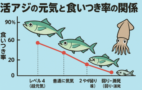 アオリイカ釣り、活アジの「元気度」が食いつき率を左右するのは数値で証明済み。
・ヤエンは特にアジの元気さに依存しやすい。
・ウキ釣りは多少弱ったアジでも成立しやすい。釣太郎