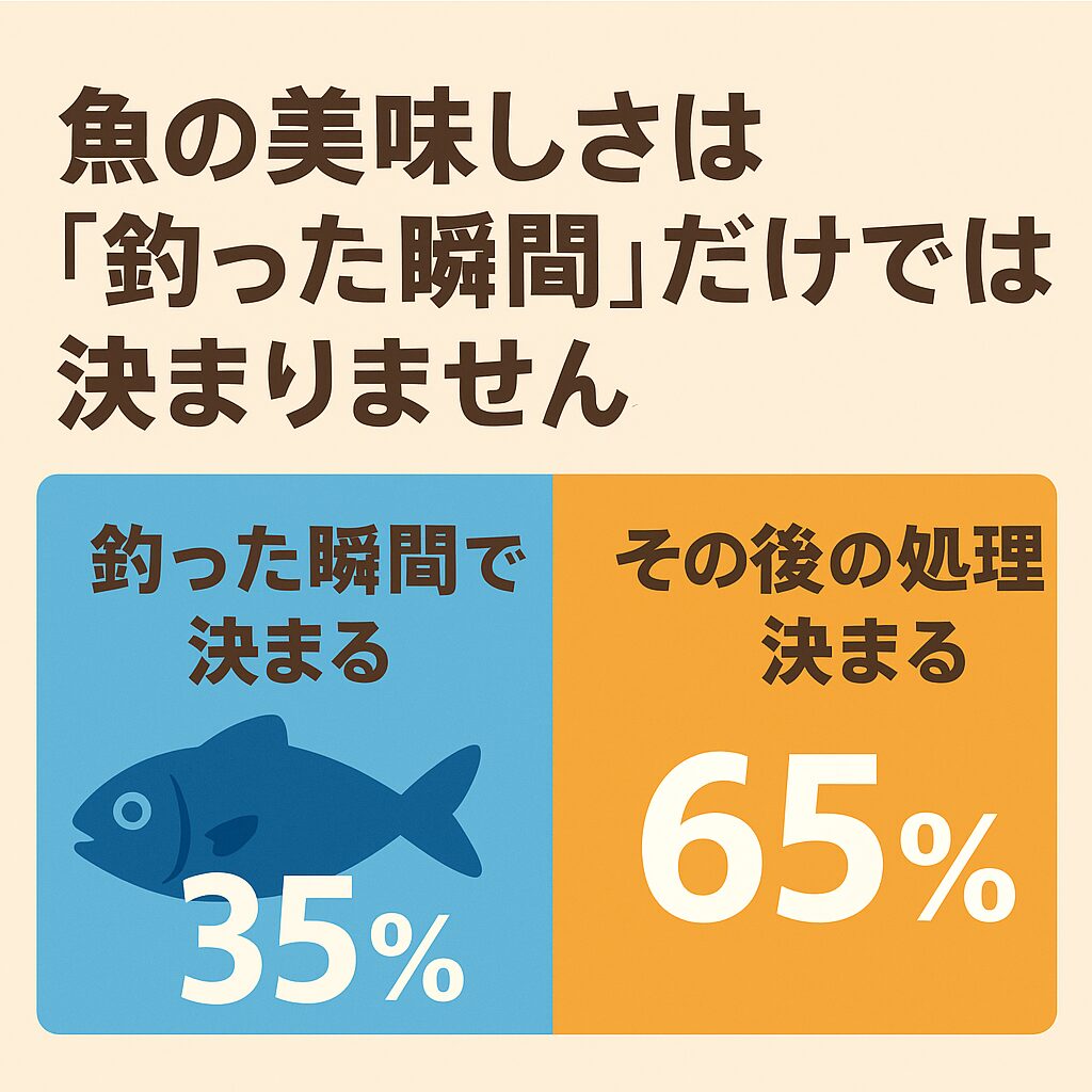 魚の美味しさは「釣った瞬間で35％、その後の処理で65％」。 つまり本当の勝負は釣り上げてから始まる。釣太郎