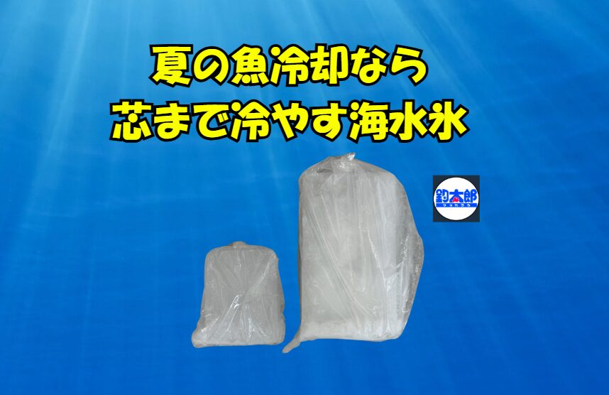 普通の氷と海水氷では、魚の状態がまったく違うという声が後を絶ちません。その理由は、科学的に見ても納得の結果でした。浸透圧を守るから、身がプリプリのまま。 低温を長時間キープし、保冷力は3倍。雑菌繁殖を抑制し、安全に持ち帰り可能。釣太郎