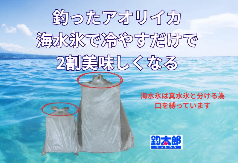 釣ったアオリイカは、海水をこらせた海水氷で冷やせば2割旨くなる！釣太郎