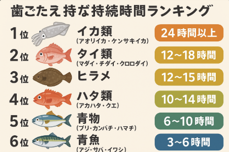 最も歯ごたえが長持ちするのは アオリイカやタイ類。青物や青魚は時間との勝負で、釣りたてこそ最高の食感。釣太郎