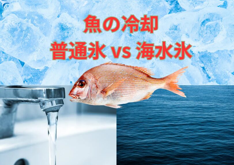 魚冷却、真水氷と海水を凍らせた海水氷。分析した結果、「海水氷」の圧勝。釣太郎