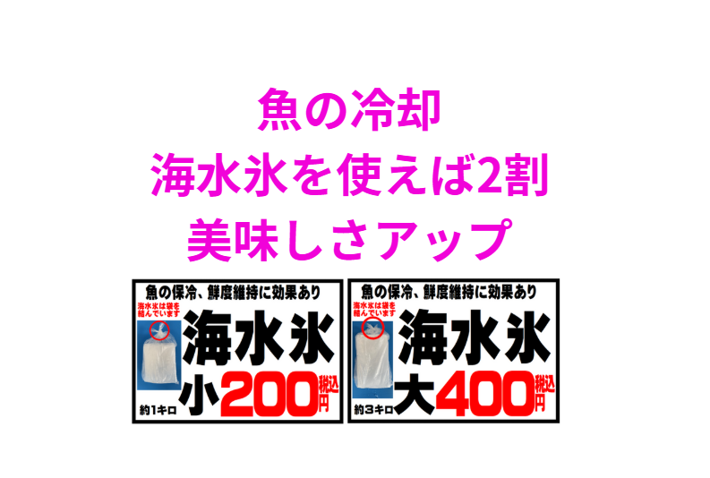 魚を美味しく食べるためには「釣った瞬間の処理」と「冷却方法」が命。 真水氷から海水氷に変えるだけで、平均21％の美味しさアップが見込めるという結果は、釣り人や飲食店にとって見逃せないポイントです。釣太郎