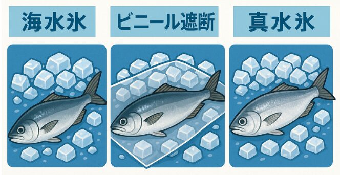魚は氷に直接触れることで、熱が一気に奪われ、魚体温が短時間で下がります。特に夏場や青魚（サバ・イワシなど劣化が早い魚）では有効です。釣太郎