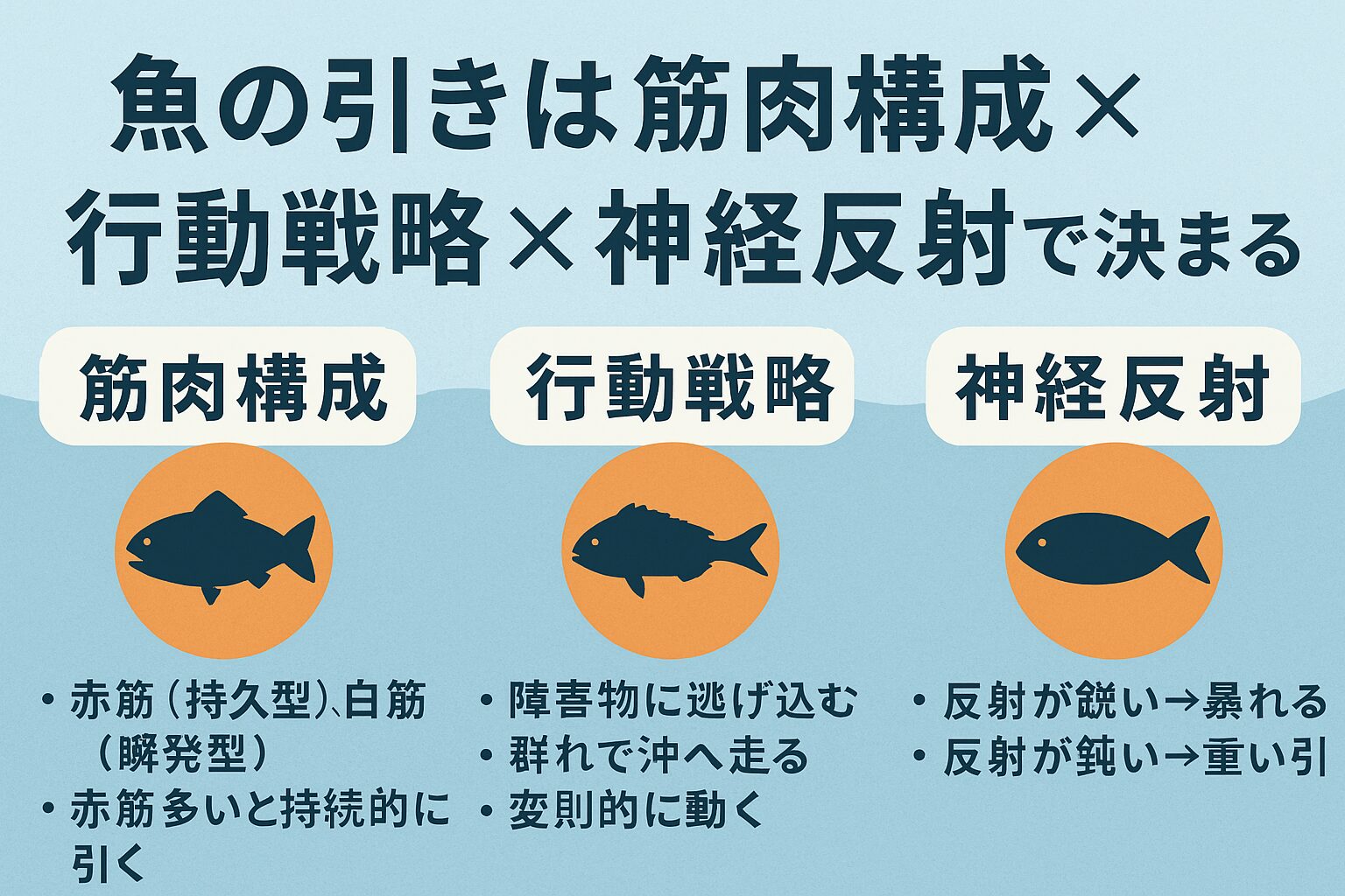 魚の引きは筋肉構成 × 行動戦略 × 神経反射で決まる。赤筋多めは持久戦、白筋多めは瞬発勝負。釣太郎