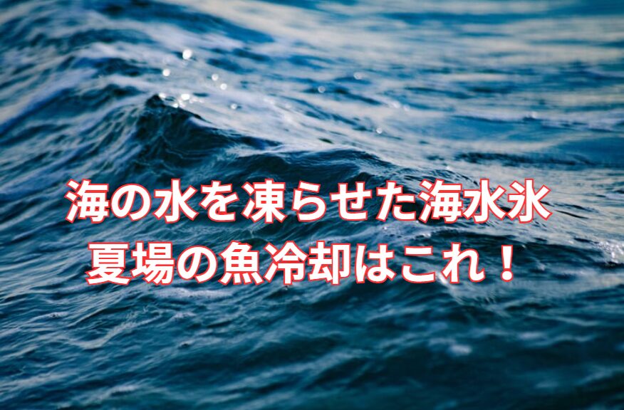 魚冷却専用「海水氷」の保冷力が真水氷の3倍になる科学的秘密。釣太郎