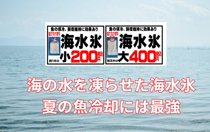 【釣り人必見】海水を凍らせた海水氷は保冷力3倍!魚冷却専用の理由をAIが科学的に解説。釣太郎