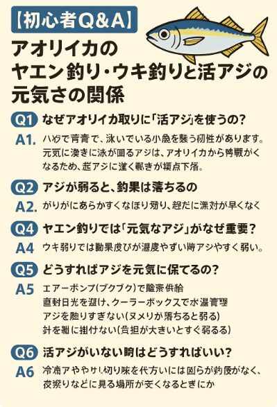 アオリイカのヤエン釣り・ウキ釣りでは「活アジの元気さ」が釣果を左右します。
元気に泳ぐアジはイカを引き寄せ、釣果アップに直結します。釣太郎
