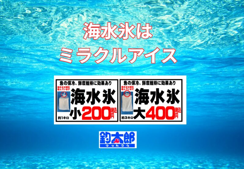 海水氷がミラクルアイスと呼ばれる理由は――・浸透圧の安定で身が締まる・冷却スピードが速い。釣太郎