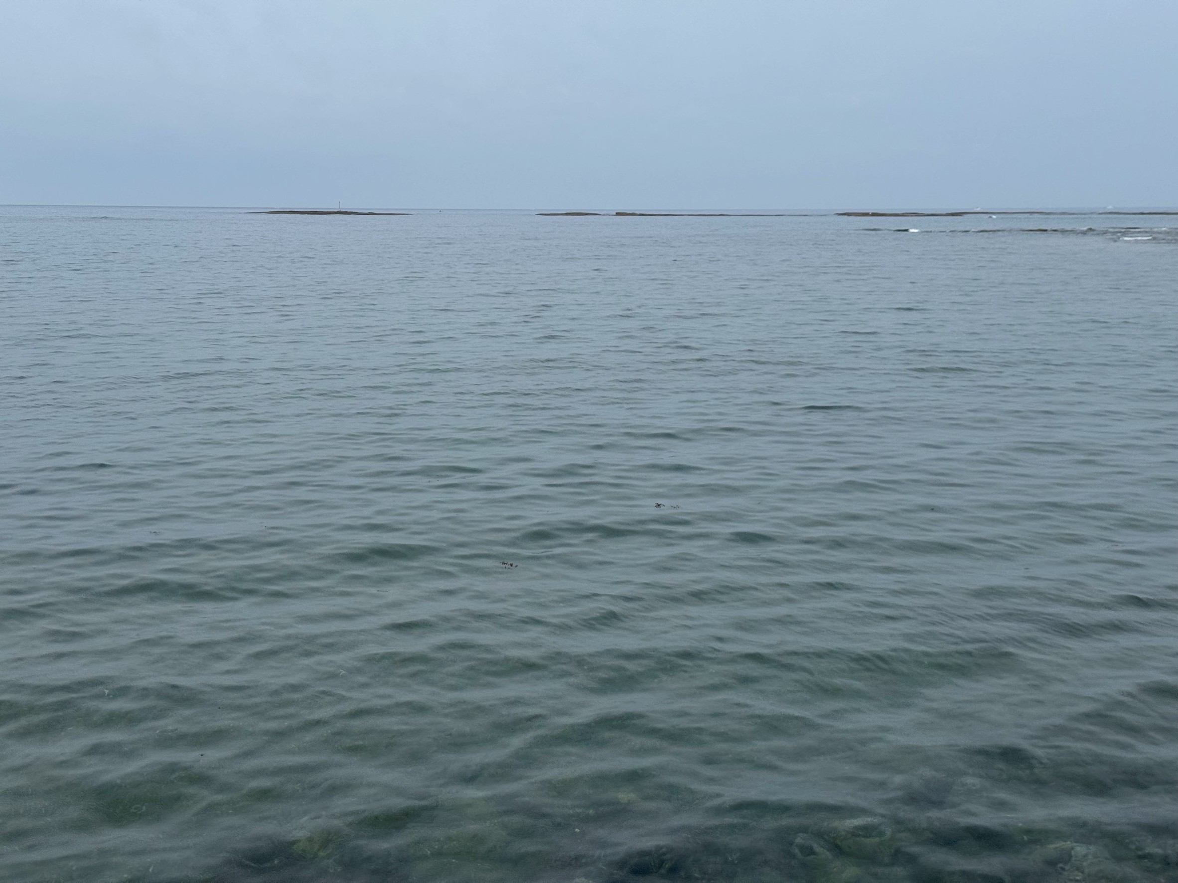 海の香りは生命の営みが生んだ自然のメッセージ。釣太郎