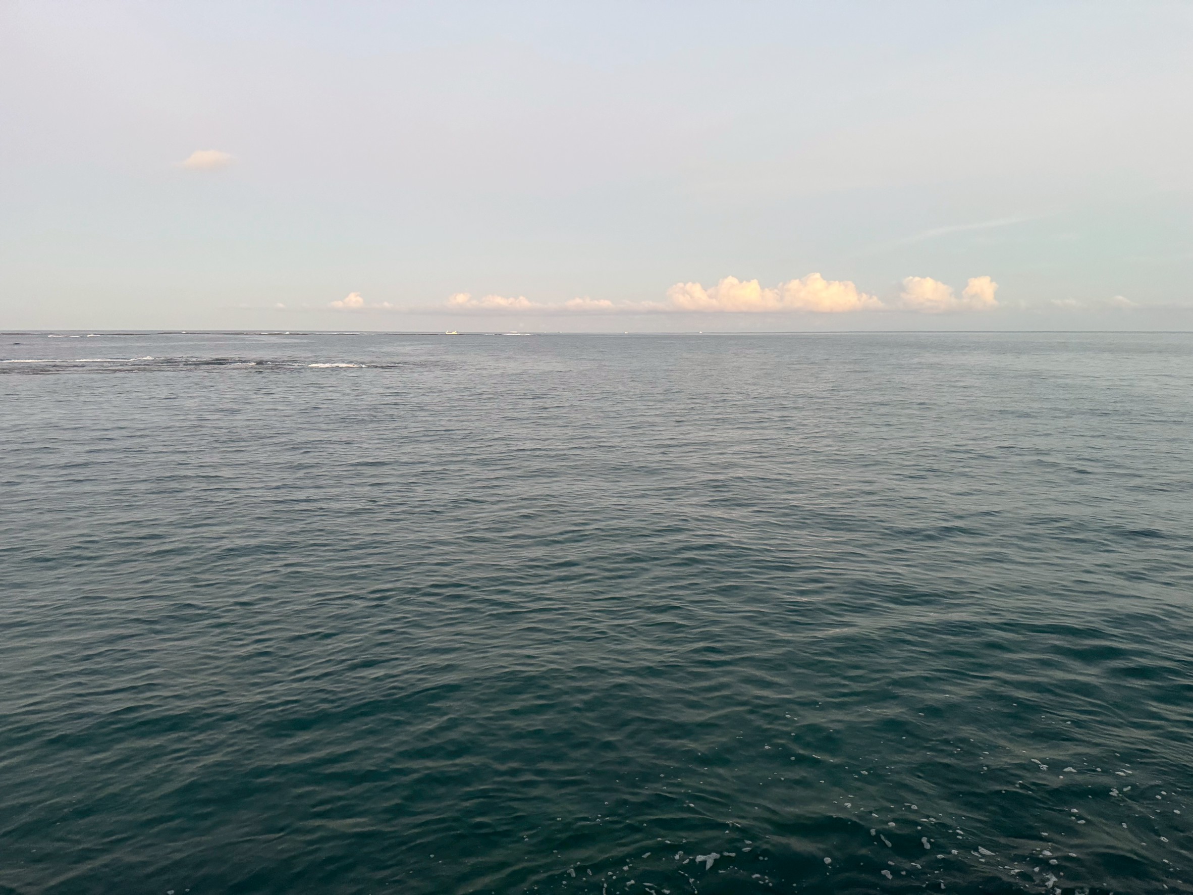 海の香りの正体は、目に見えない微生物たちの活動によって生まれた化学物質DMS。釣太郎