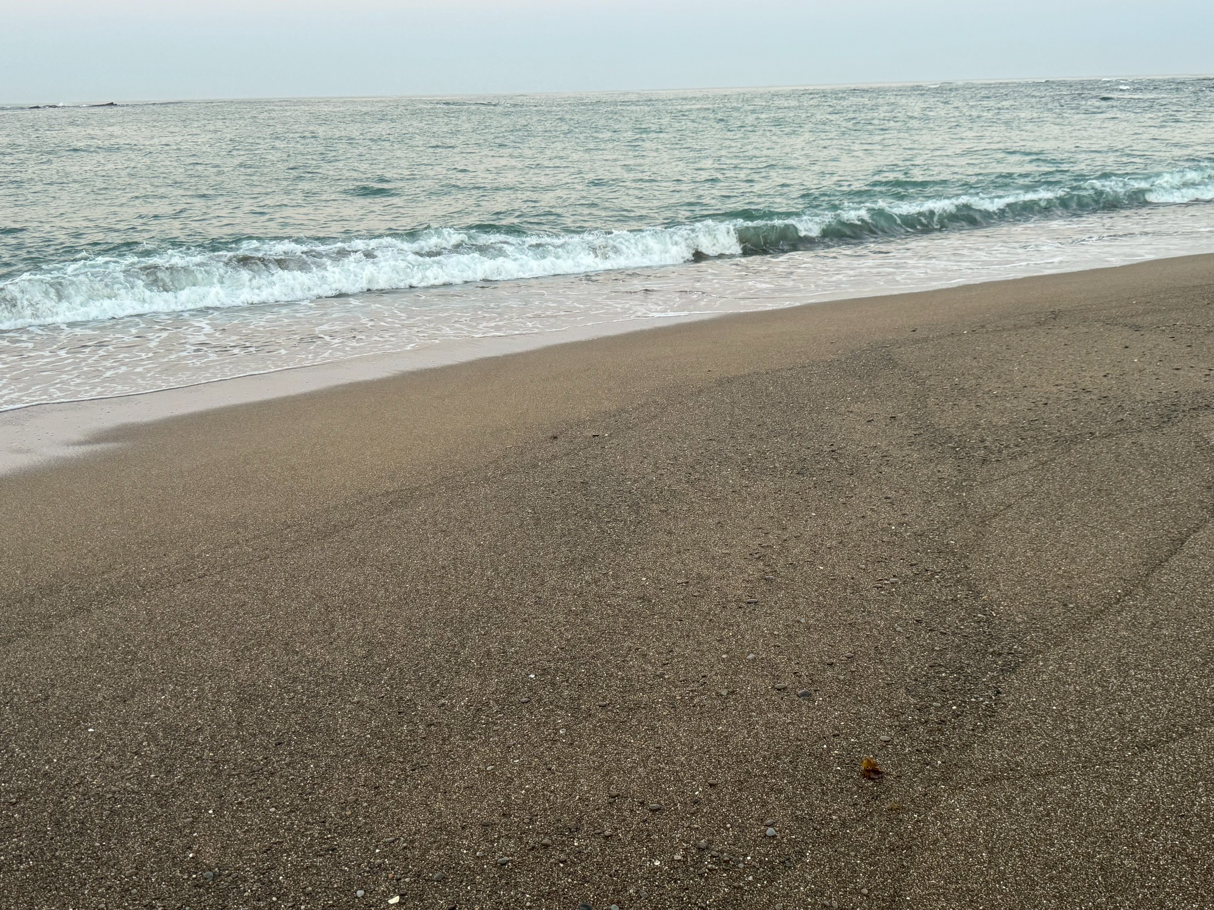 夏の朝一番、足跡のない砂浜は天国！地方でしか味わえない“プライベートビーチ体験”。釣太郎