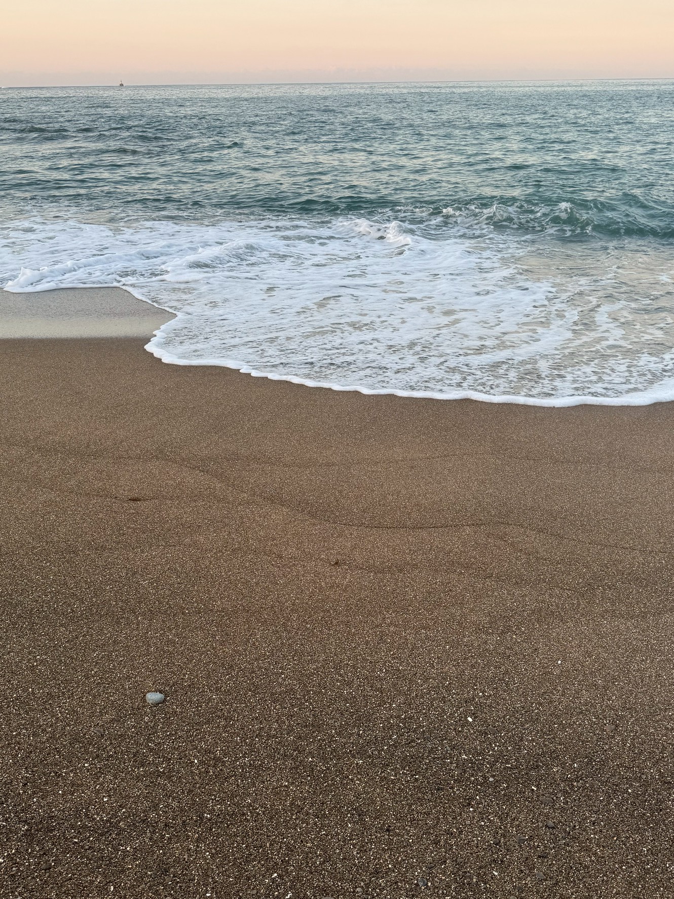 夏の海は昼間の賑わいだけが魅力ではありません。人がいない早朝の砂浜こそ、最高の贅沢を味わえる時間帯です。明日跡がない綺麗な砂浜、涼しい風、心地よい波の音。これらを独り占めできるのは、早起きした人だけの特権です。この夏は、ぜひ一度、夜明け前後の海辺を訪れてみてください。その爽快感と癒やしは、きっと忘れられない思い出になります。釣太郎