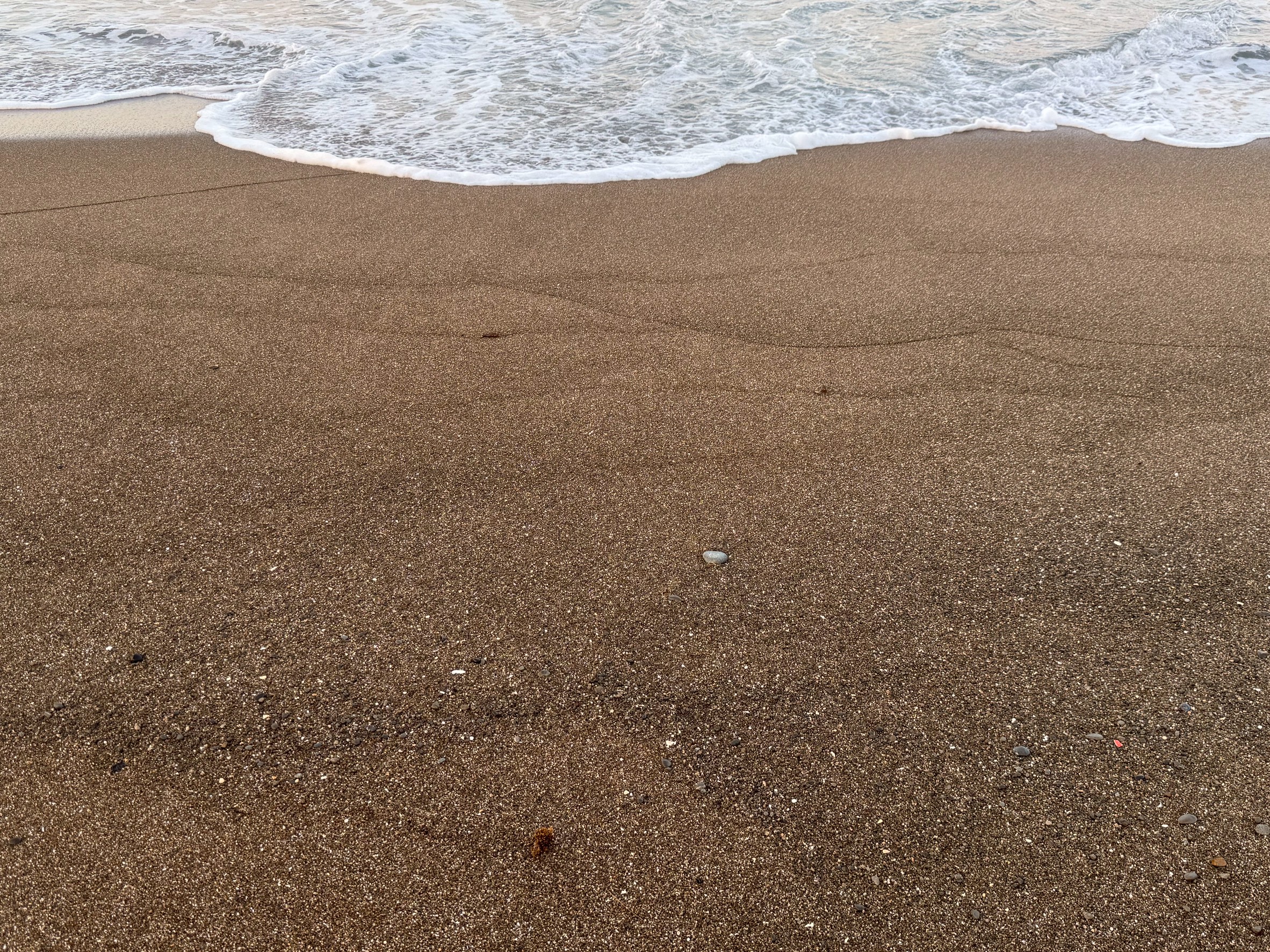 足跡一つない砂浜を独り占め。地方で味わう朝一番のビーチが最高な理由。釣太郎