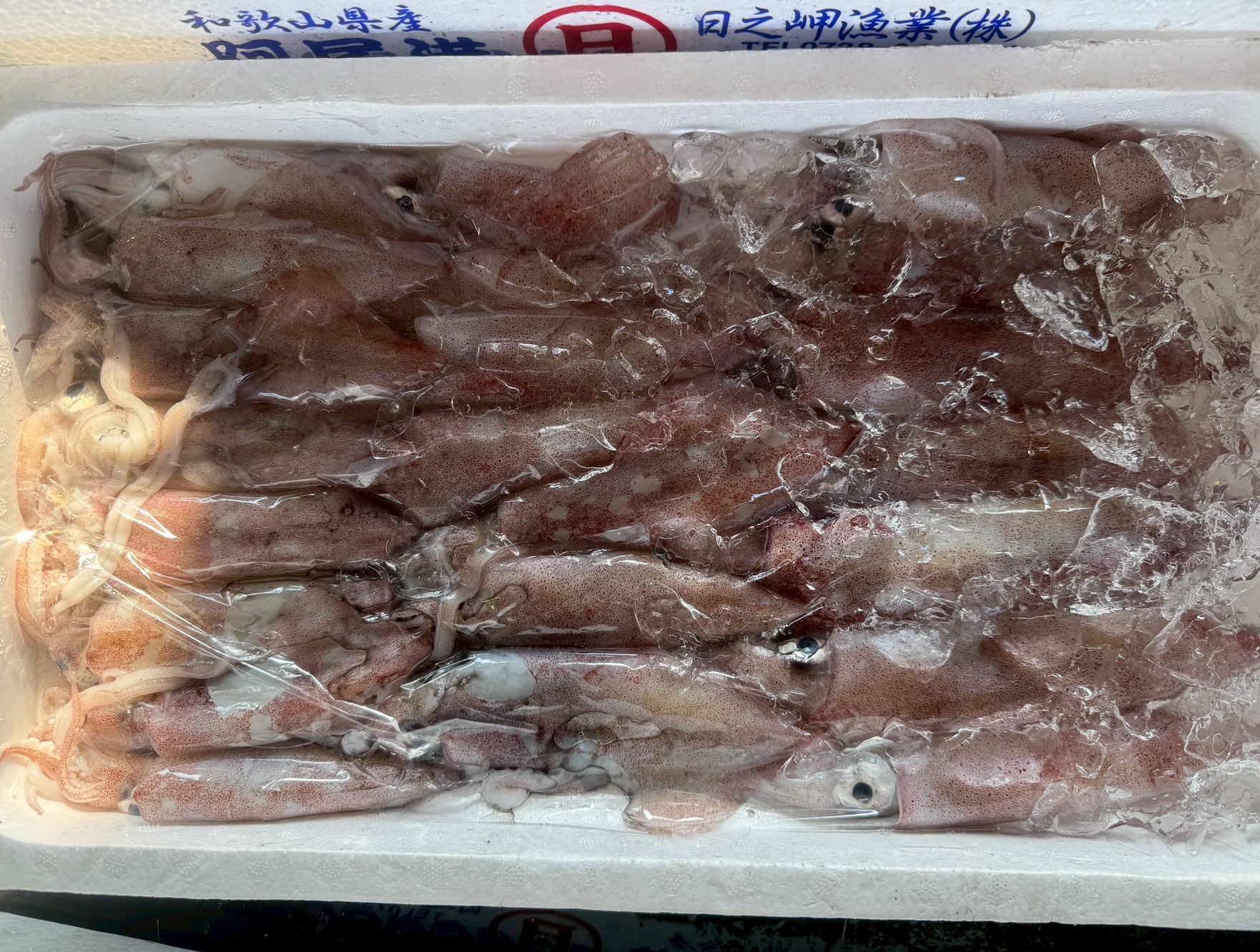 ケンサキイカ（アカイカ）はアオリイカよりうまみ成分が３割多く美味しいが、市場価値は逆に低い。この逆転現象が起きている理由説明。釣太郎