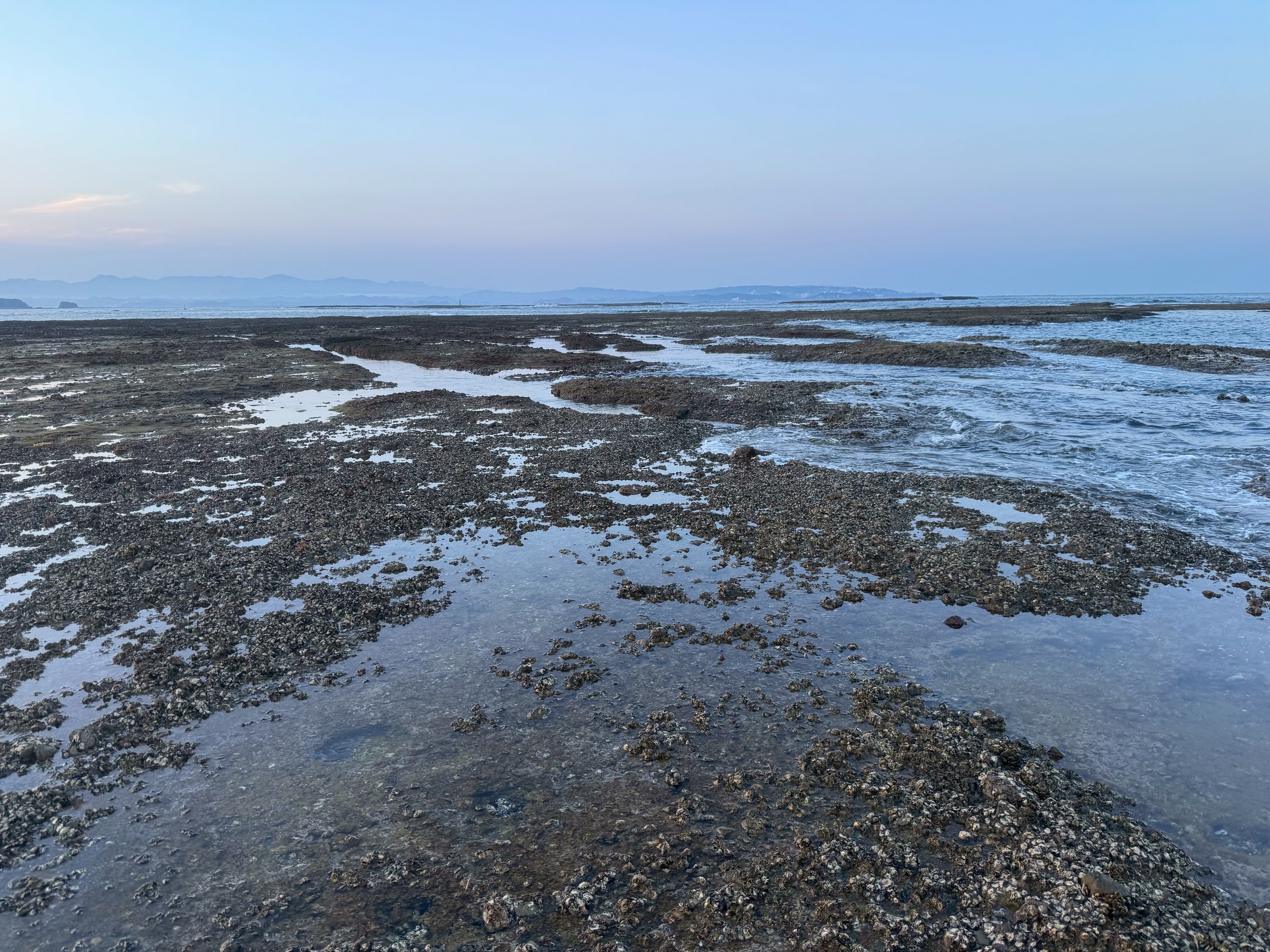 釣り人の聖地「磯」は、どうやってできた？その正体と成り立ちを徹底解説！釣太郎