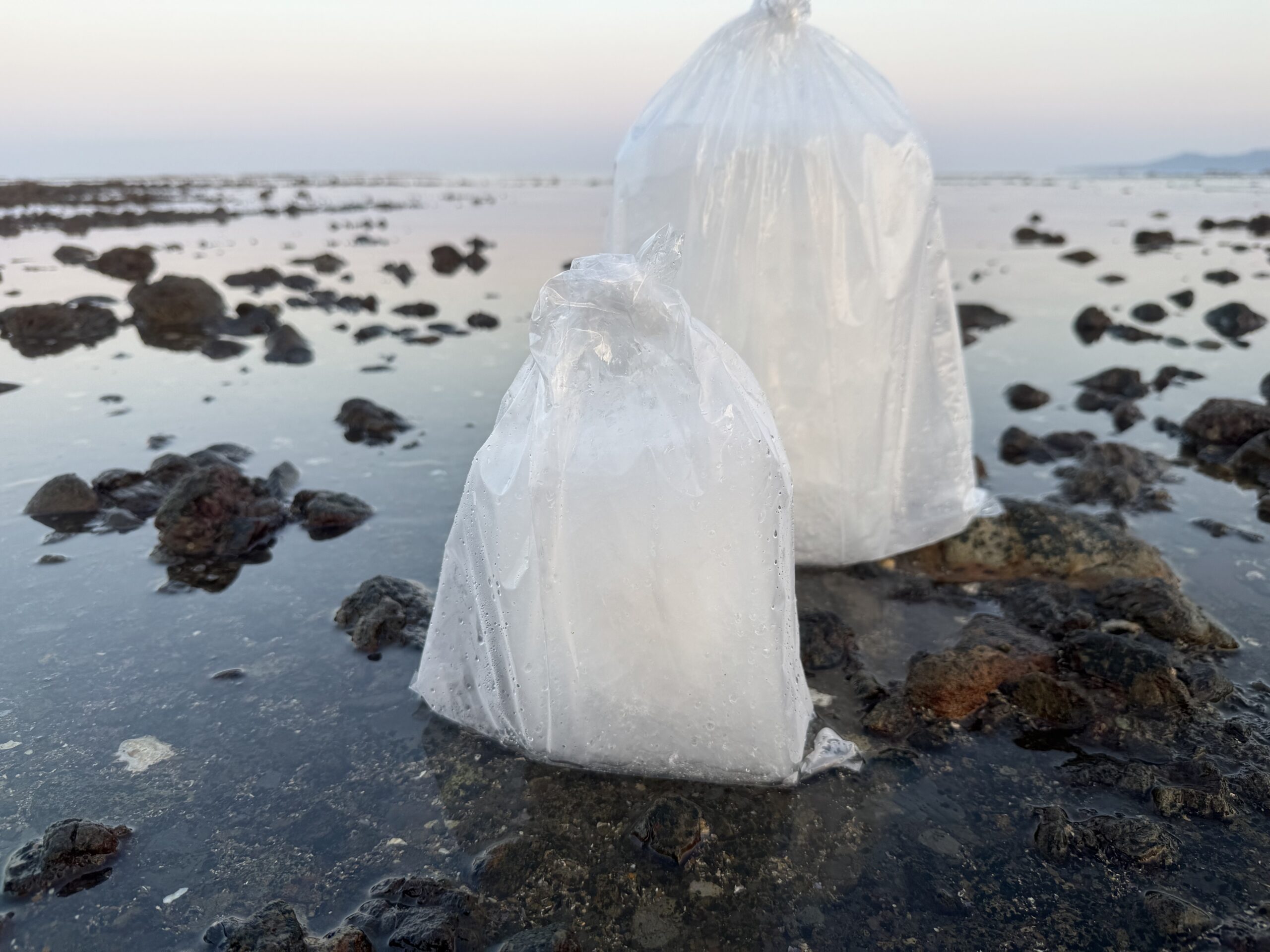 普通氷よりも海水氷は低温維持力が高く、夏場の魚冷却に最適 ・鮮度保持、雑菌抑制、身焼け防止の効果があり、釣った魚を最高の状態で持ち帰れる。釣太郎
