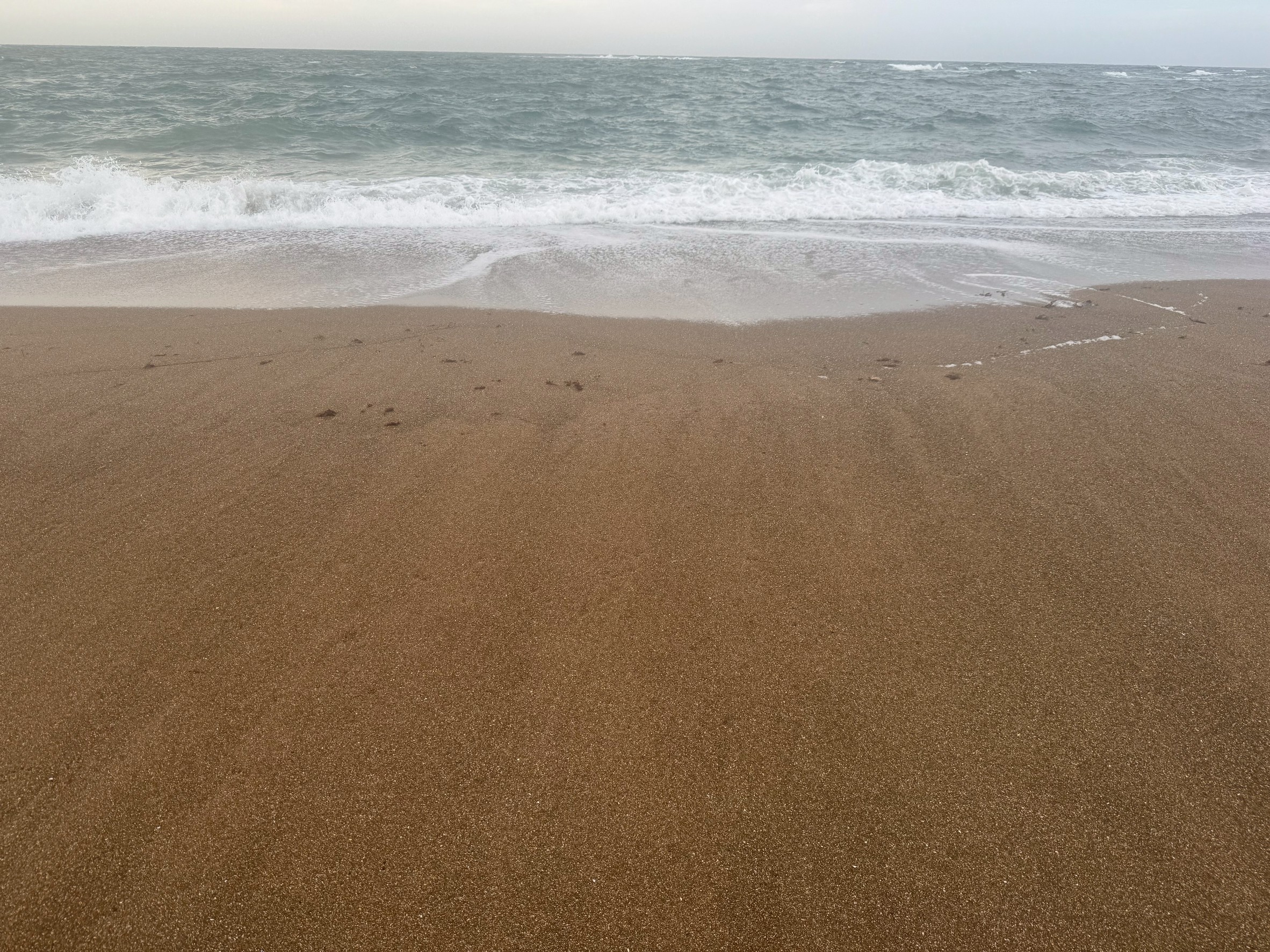 足跡が一つもない砂浜を歩く贅沢【完全プライベートビーチ気分を無料で味わう方法】釣太郎