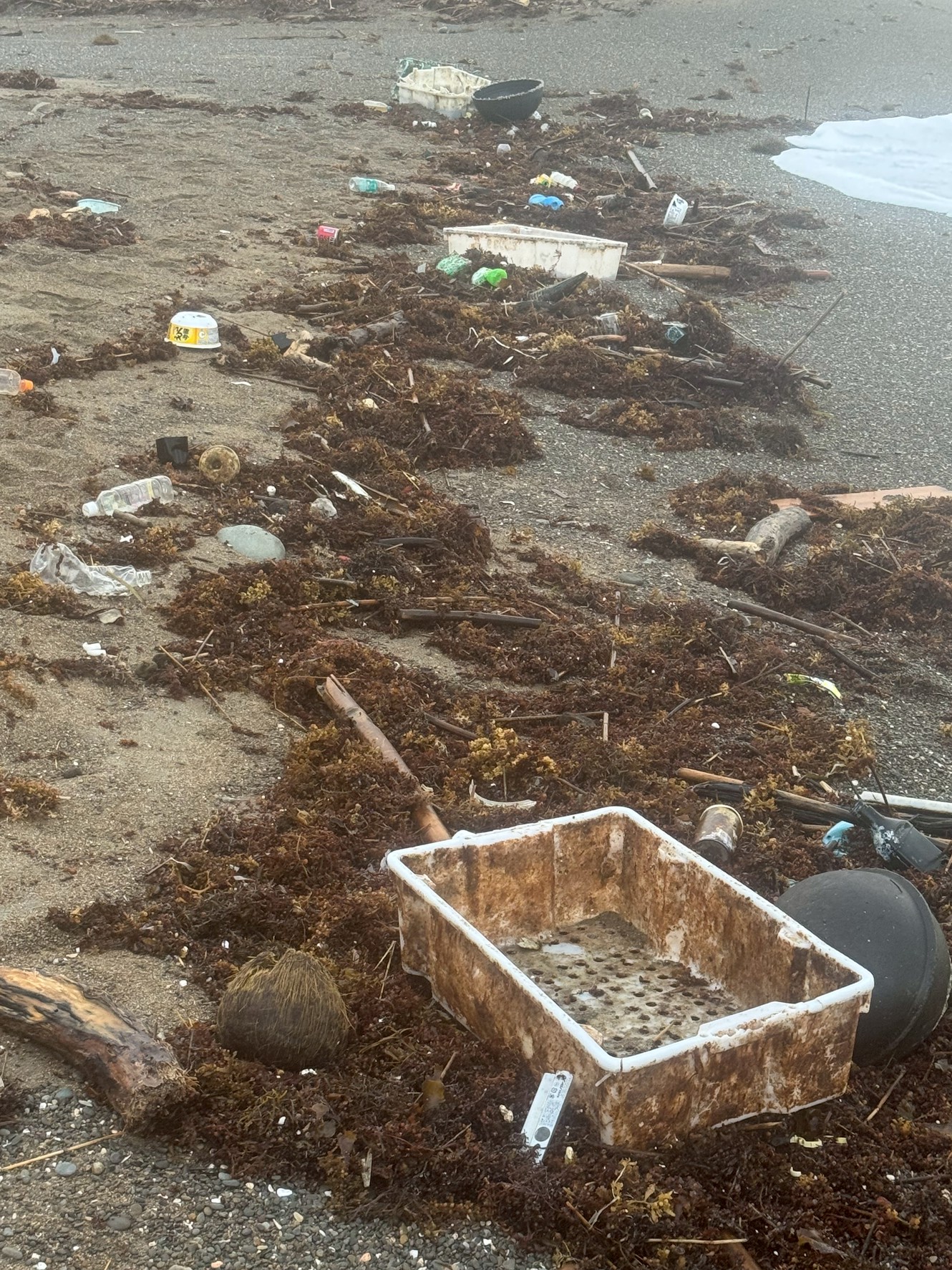 漂着ごみは景観だけでなく海洋生物や生態系に甚大な被害を与える 。ペットボトルやナイロンごみは分解されず、マイクロプラスチックとして長期的に残る。釣太郎