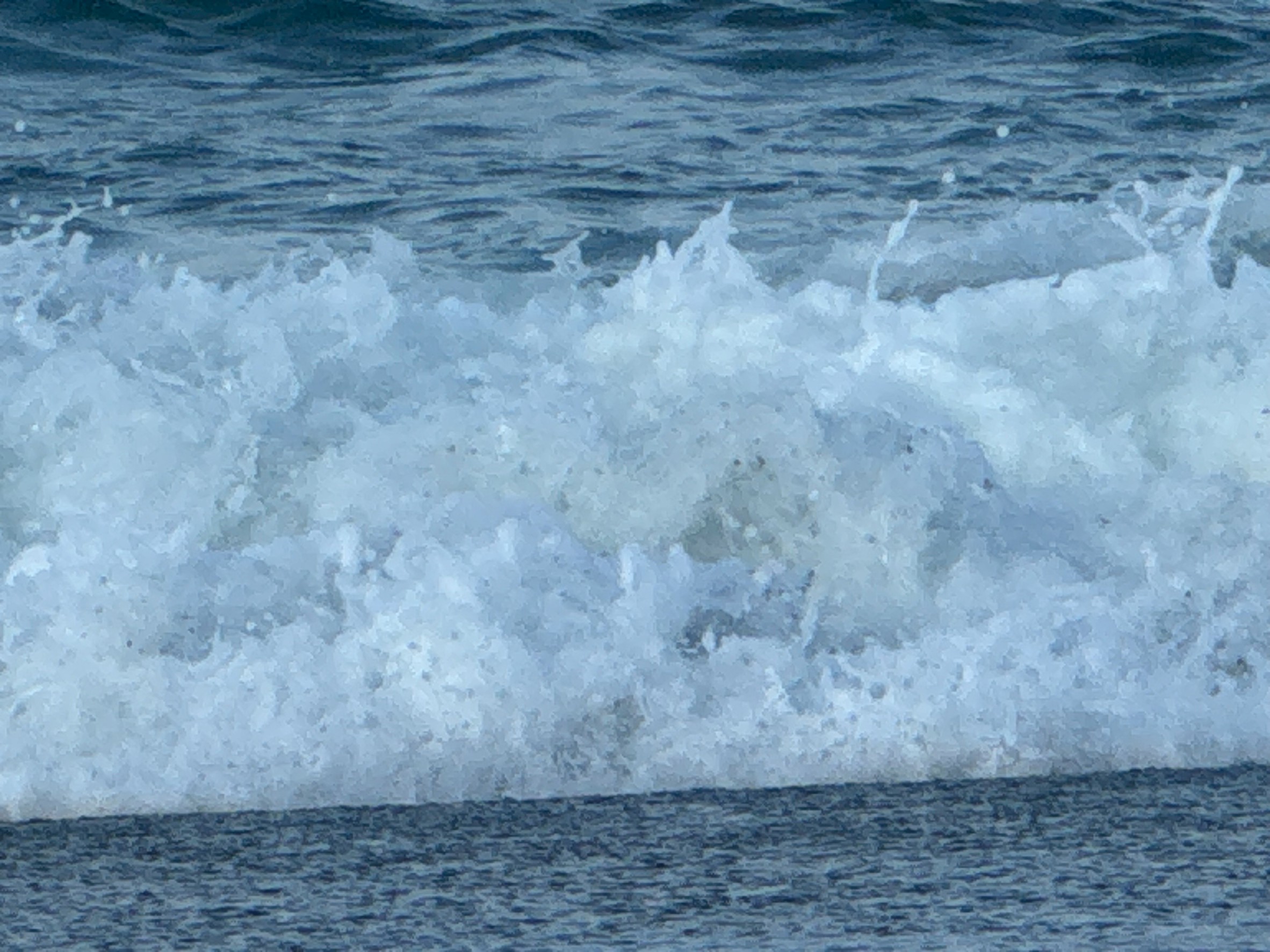 海の香りの主な正体は、海水ではなく「ジメチルスルフィド(DMS)」という化学物質。DMSは、植物プランクトンとバクテリアの生命活動によって生み出される。釣太郎