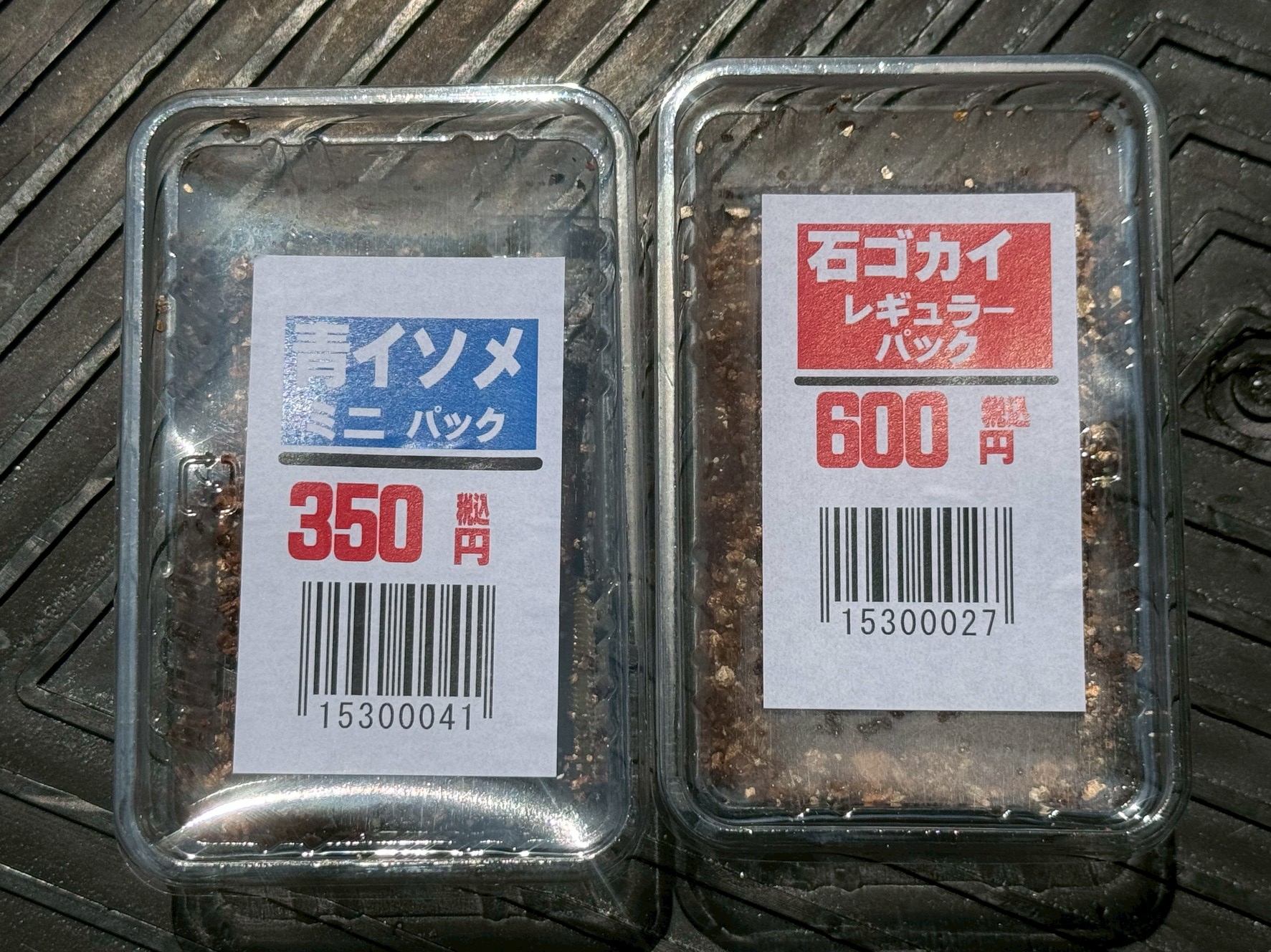 虫エサ（青イソメ、石ゴカイ）直射日光に当てると５分で死滅します。釣太郎