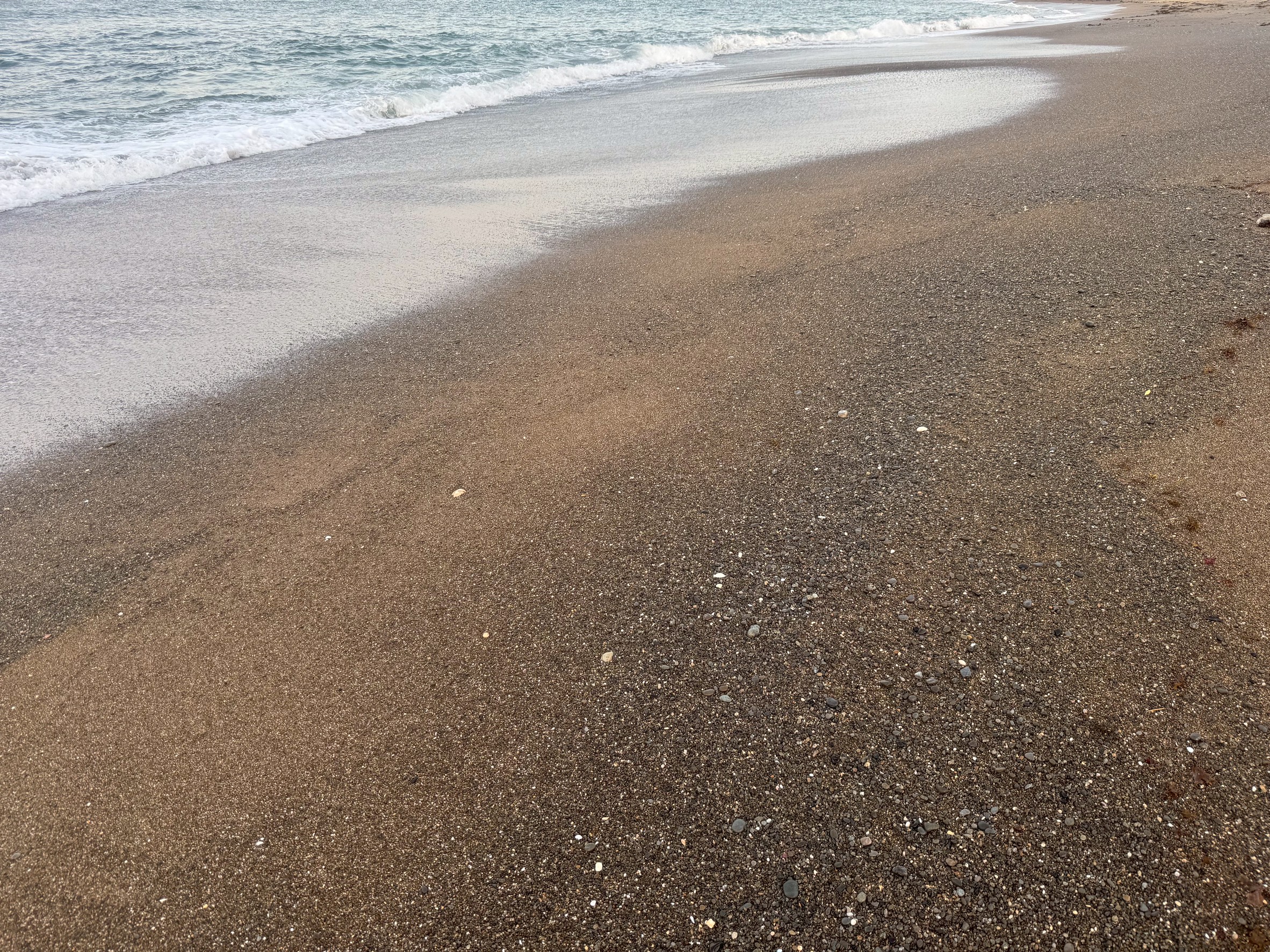 足跡ひとつついていない、真新しい砂浜を歩くのは地球最強の贅沢。釣太郎