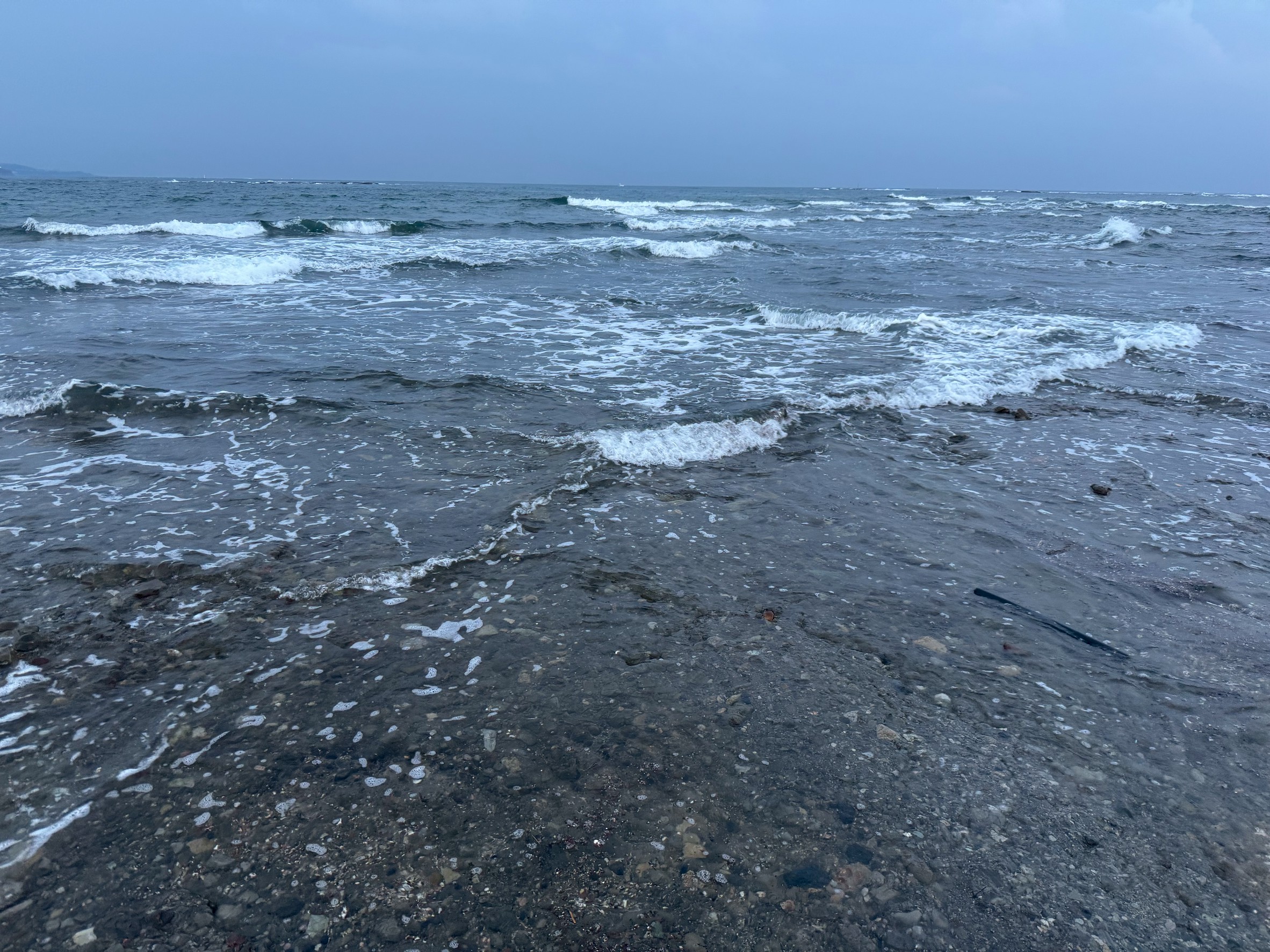 「海の香り」「潮の臭い」の正体は 海水が発するDMSなどの化学物質。「海が匂う」のではなく「海水が匂い、風が運んでくる」釣太郎