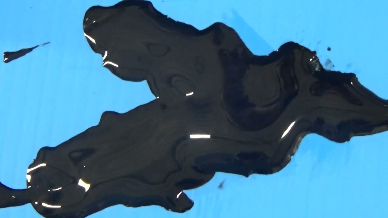 イカ墨料理に使われるのは、主に モンゴウイカの墨。・採取は 漁獲後に墨袋を丁寧に取り出す作業 で行われる。釣太郎