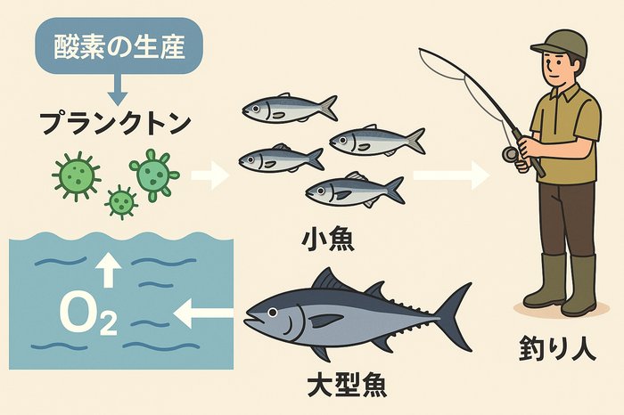 プランクトンは海の酸素工場であり、地球の酸素の約半分以上を生み出している。釣太郎