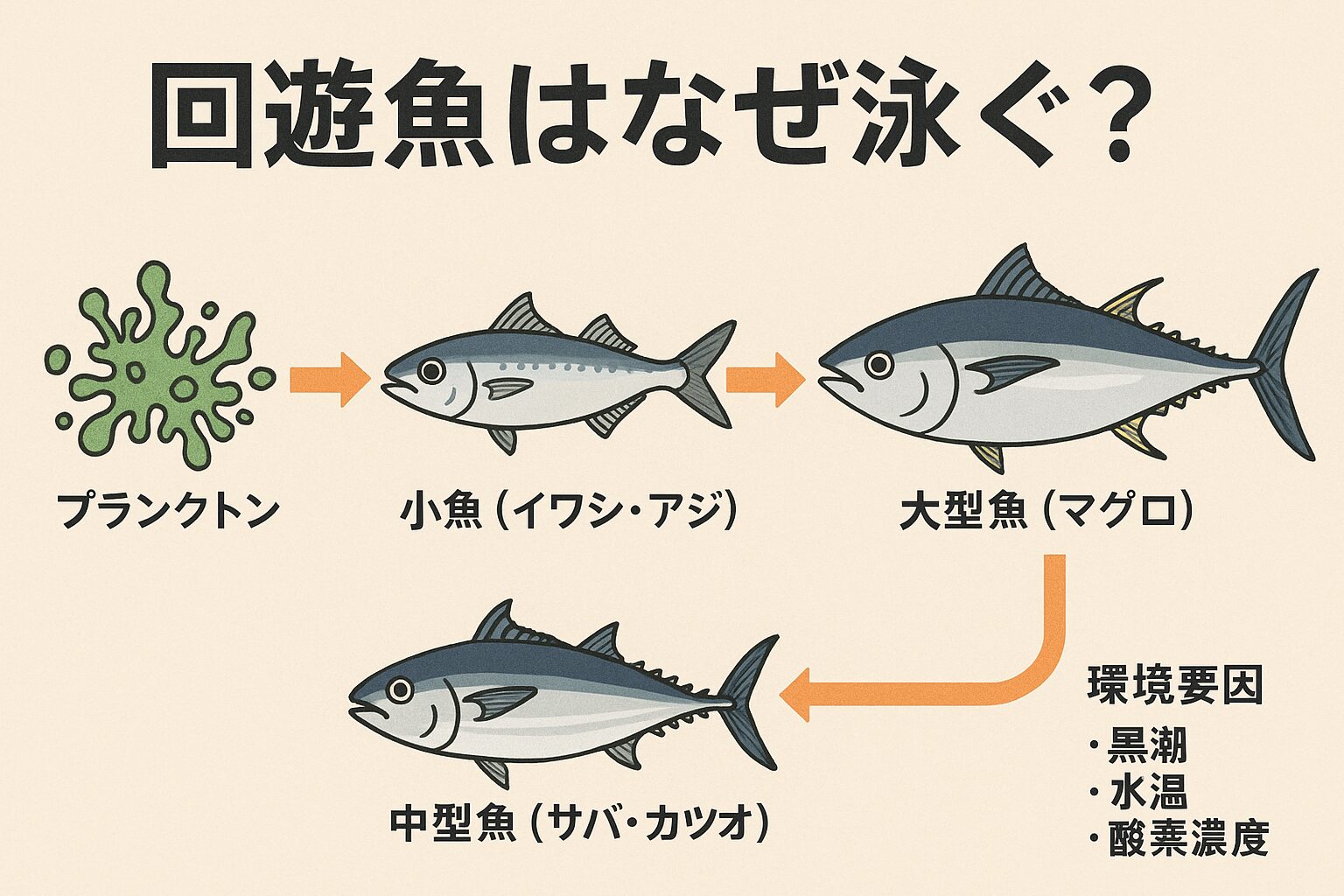 回遊魚は「匂いを追って泳いでいる」のではなく、プランクトン→小魚→中型魚→大型魚という食物連鎖の構造をベースに、環境要因を組み合わせて移動しています。釣太郎