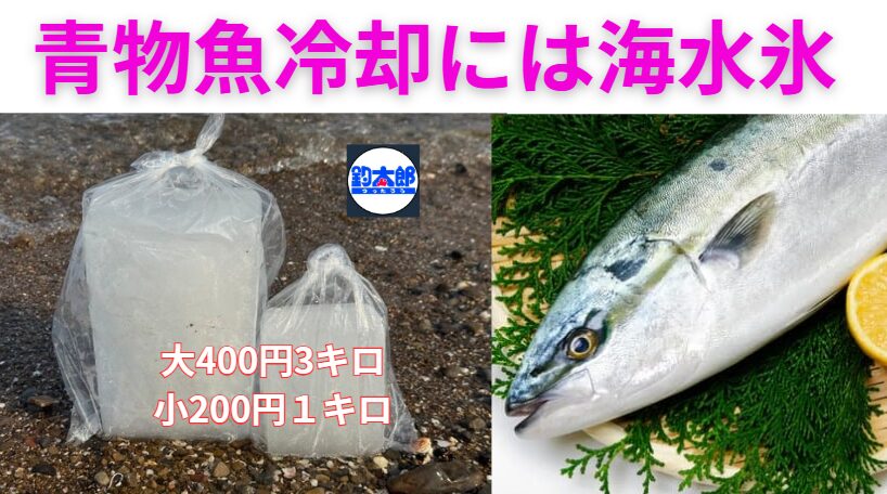 釣り上げたブリやカンパチを最高の味で持ち帰るなら、海水を凍らせた海水氷で冷やすのが一番。釣太郎