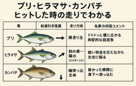 同じ青物でもヒット直後の走りがはっきり違います。ブリ：横走りの持久戦タイプ。ヒラマサ：横と縦を組み合わせたトリッキーファイター。カンパチ：縦突っ込みのパワーファイター。釣太郎