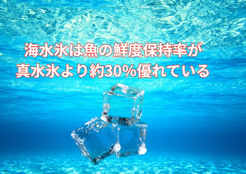 海水氷は、真水氷に比べて魚の鮮度保持率が約30%優れている。釣太郎