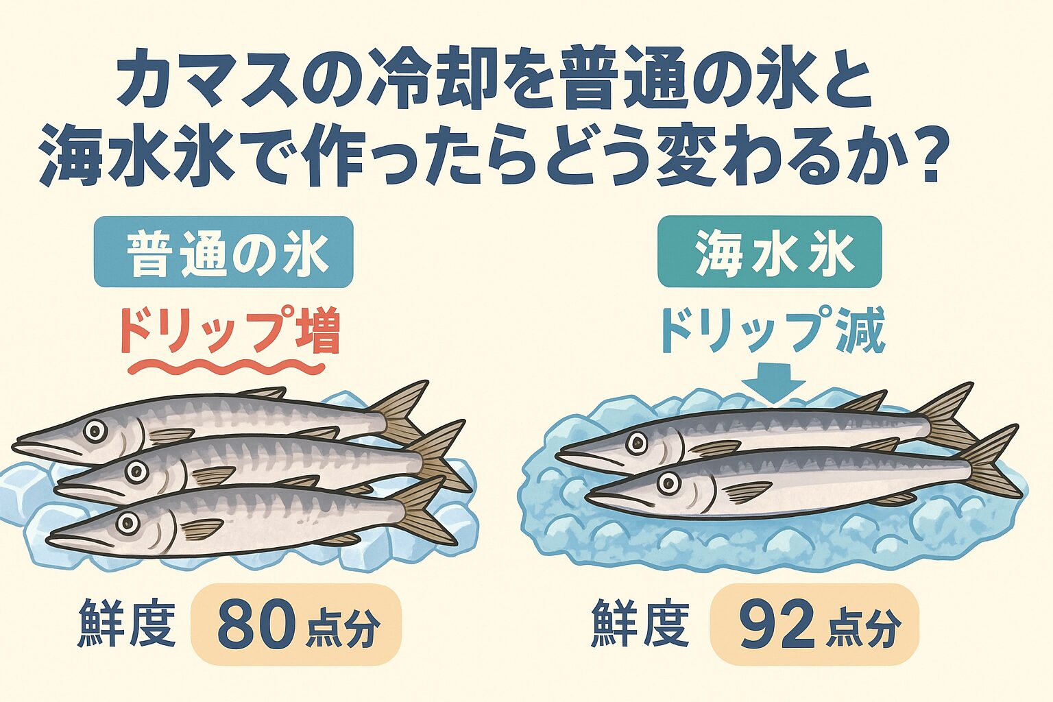 カマス、釣り場で血抜き後すぐに海水氷に投入することで鮮度保持率は約1.4倍おいしくなります。釣太郎