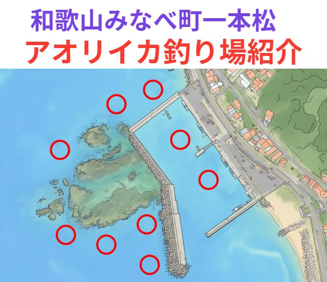 堤防地磯共に、アオリイカの好釣り場「和歌山みなべ堺一本松」釣太郎