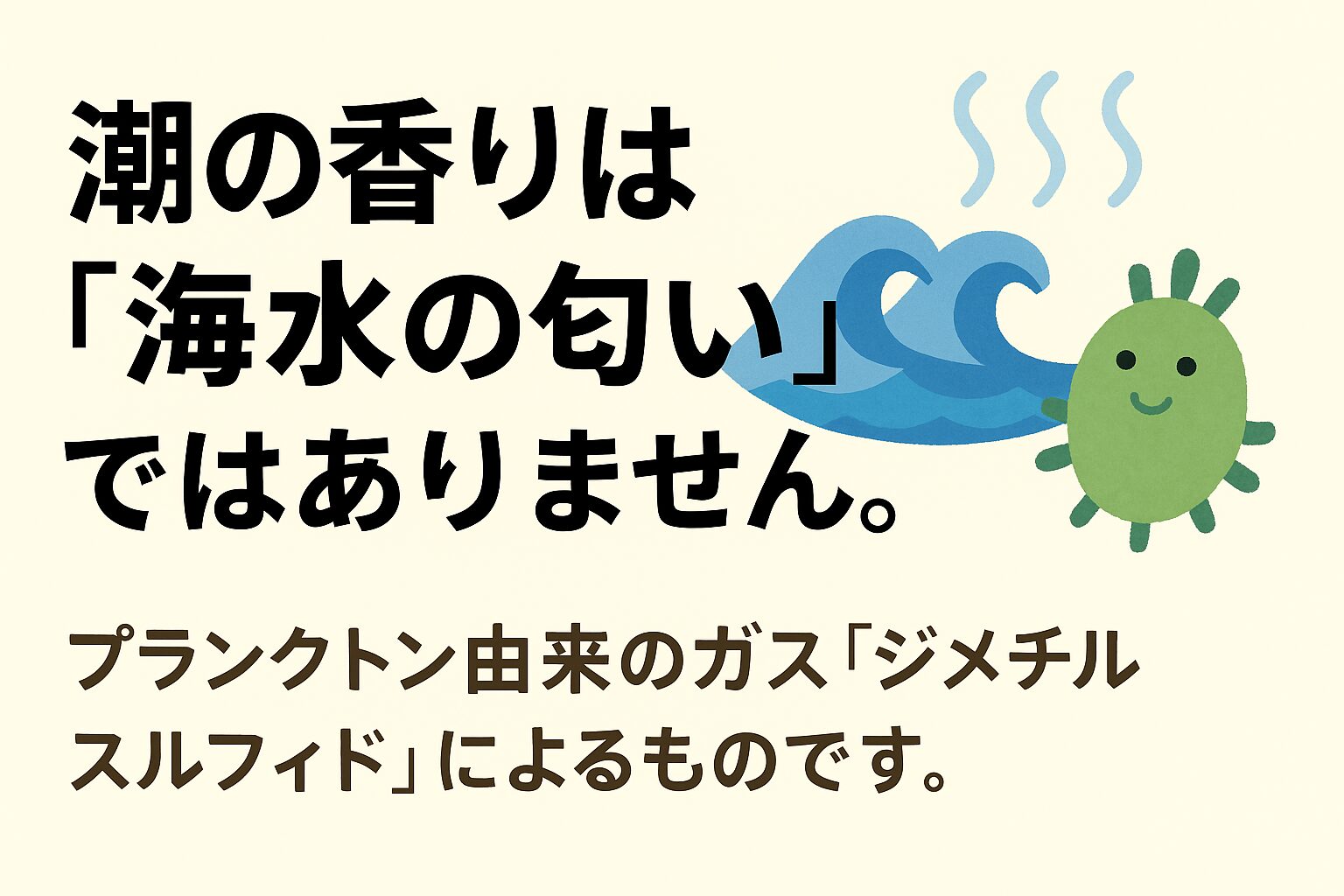 海水自体は本当に無臭？ 塩水そのものにはほとんど匂いはなく、匂いの大半はプランクトン由来です。釣太郎